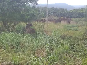 150 Acre's of Land for Sale Located at Oyibi Dowdowa Road