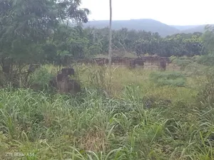 150 Acre's of Land for Sale Located at Oyibi Dowdowa Road
