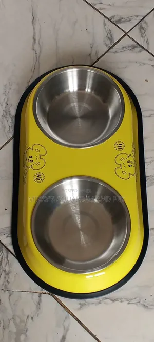 Bowl for Dog