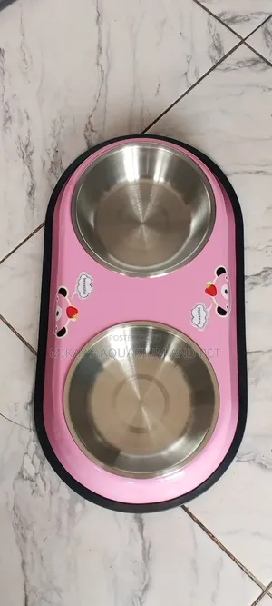 Bowl for Dog