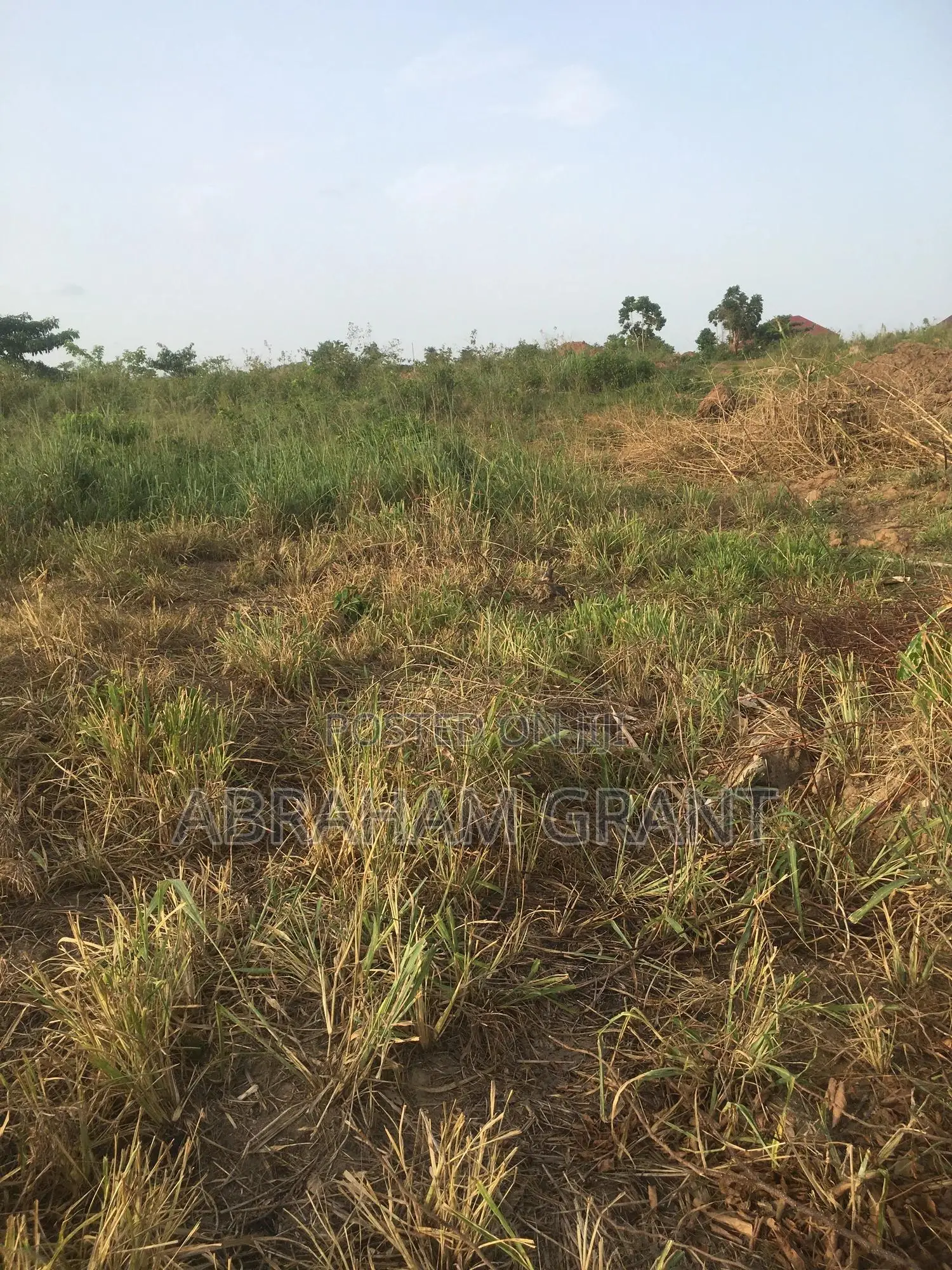 Plot of Land for Sale