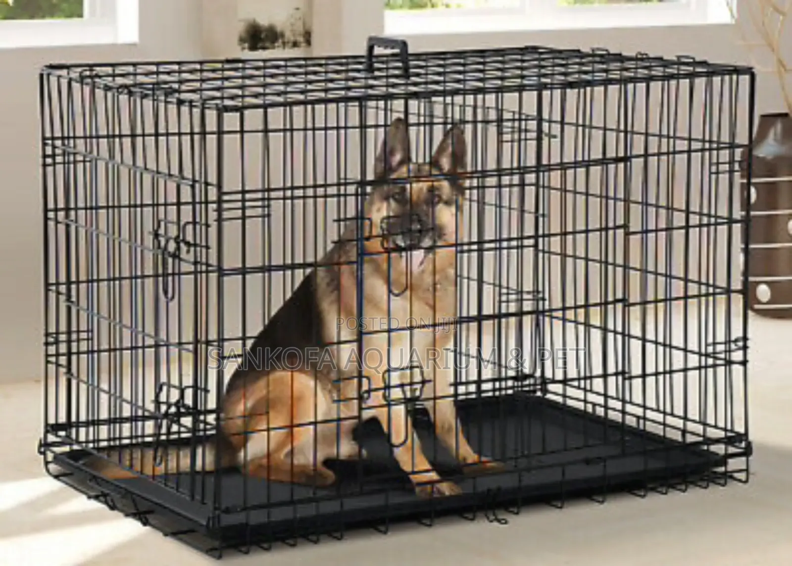 Super Strong Extra Large Metallic Dod Cage