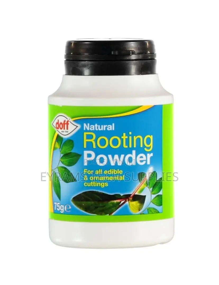 Doff Natural Rooting Powder