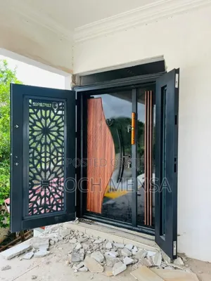 Security Door in Door