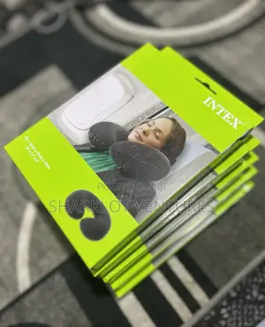 Intex Neck Pillows