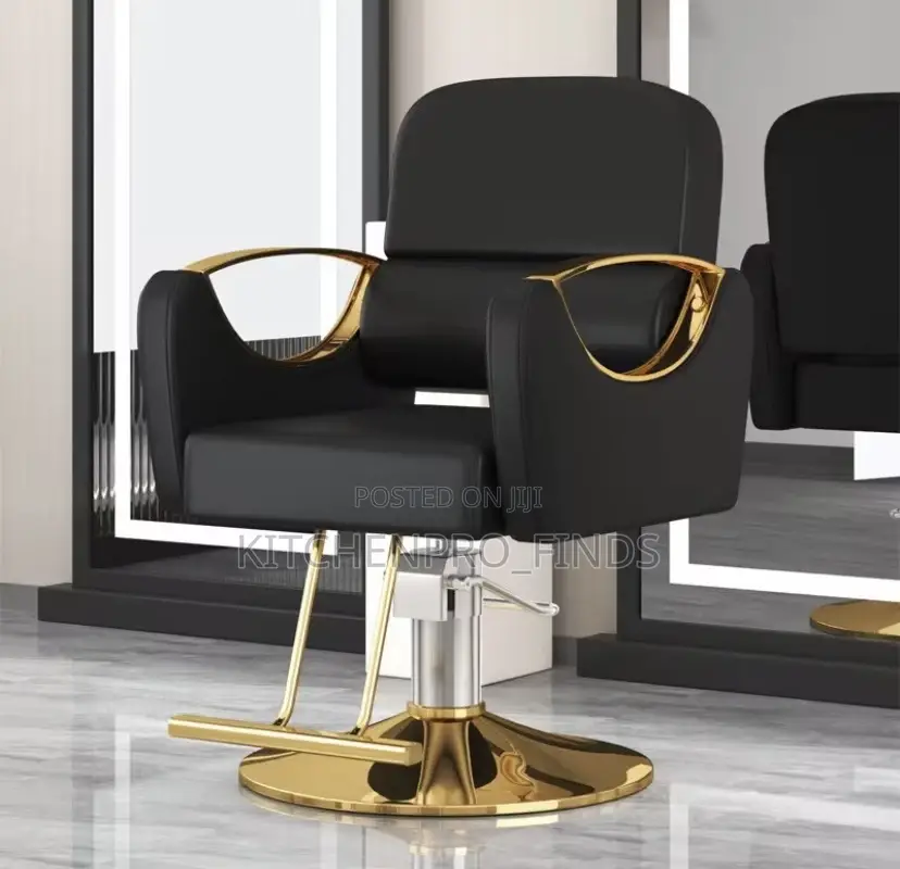 Modern Salon Swing Chair