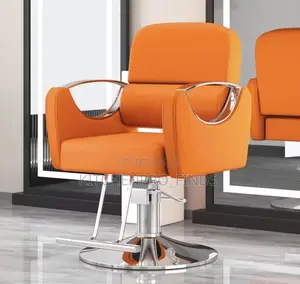 Modern Salon Swing Chair