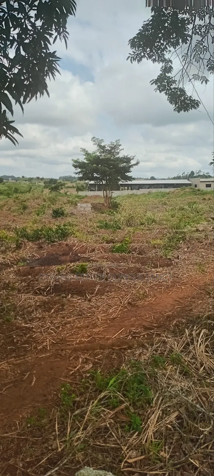 Land for Sale at Nsawam Ayibontey