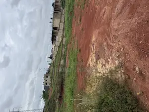 100/100 Full Plot of Land at Kwanwoma