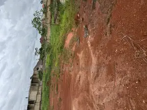 100/100 Full Plot of Land at Kwanwoma