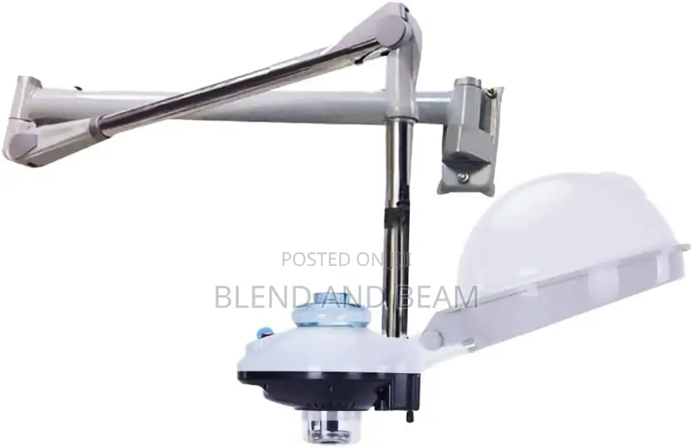 Wall Mounted Steamer