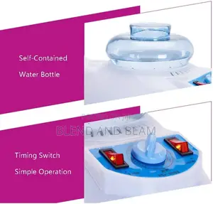 Wall Mounted Steamer