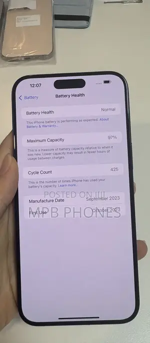 Apple iPhone 15 Pro Max 256 GB Gray