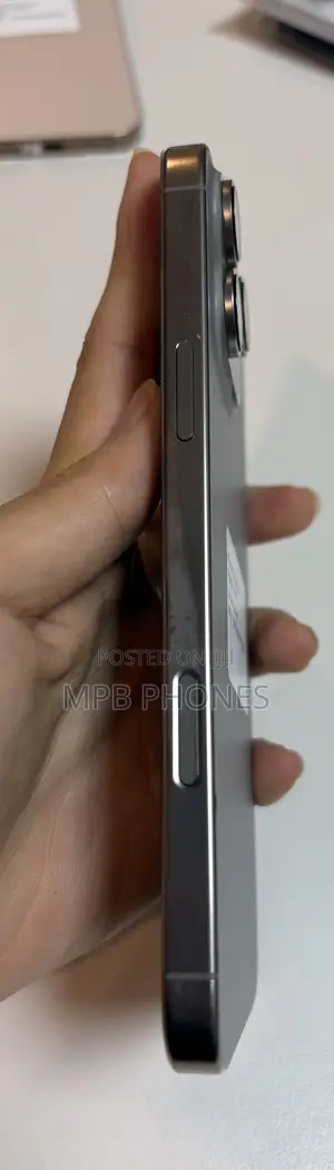 Apple iPhone 16 Pro Max 256 GB Gray