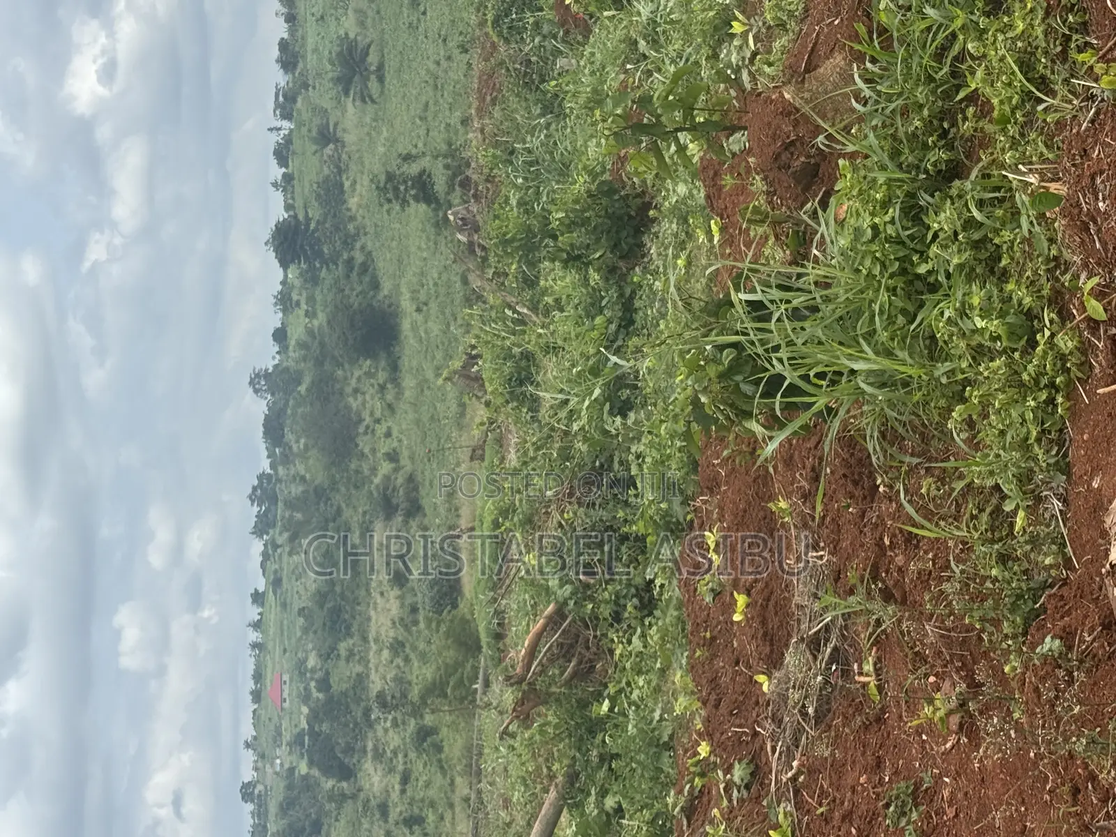 Alpha Investment and Properties Land for Sale