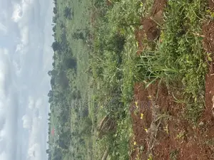 Alpha Investment and Properties Land for Sale