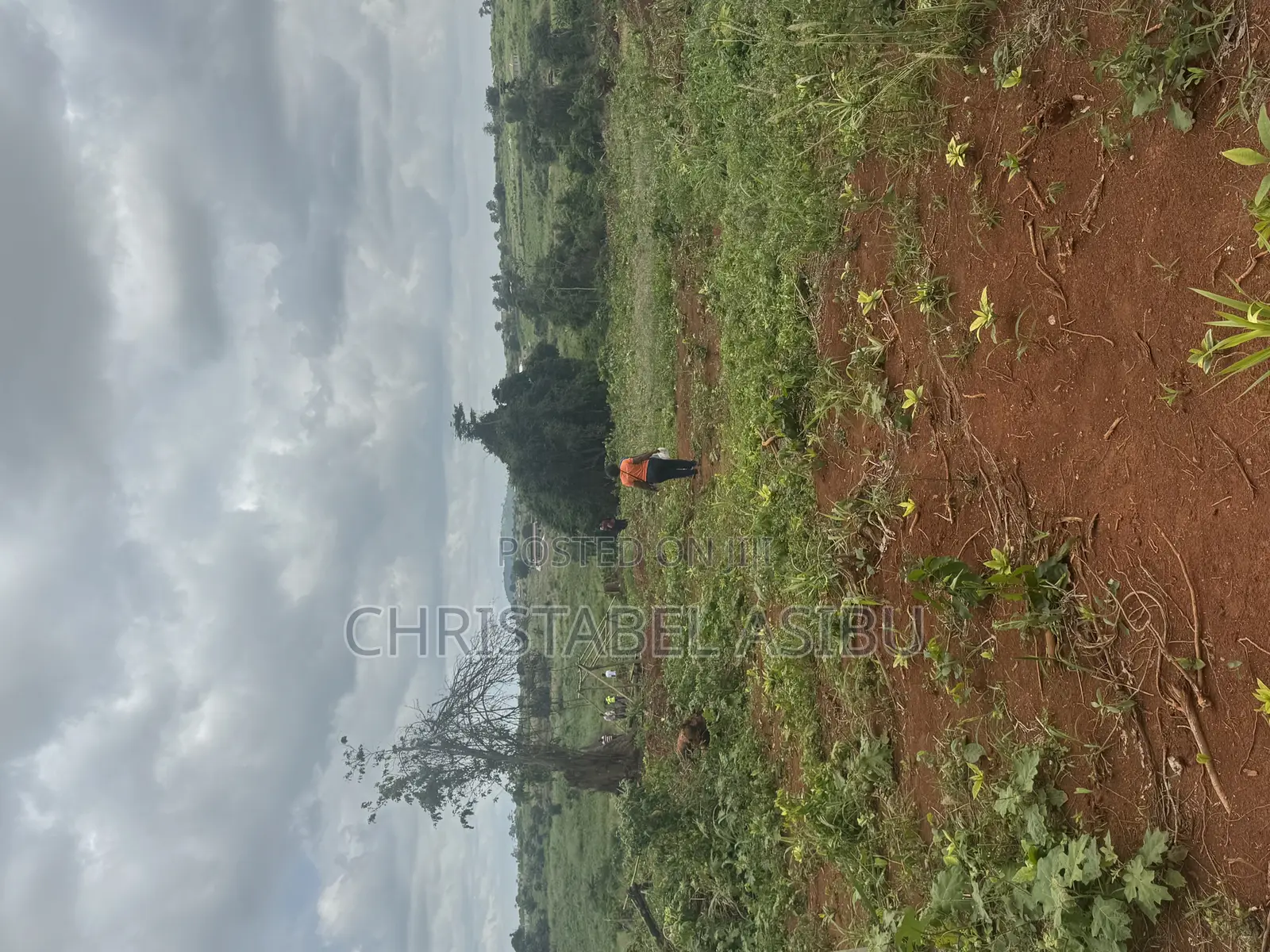 Alpha Investment and Properties Land for Sale
