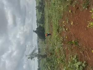 Alpha Investment and Properties Land for Sale
