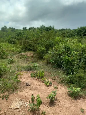 3 Plots of Registered Land at Kasoa Jei River