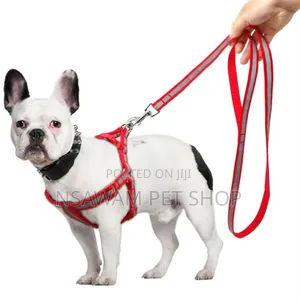 Reflective Leash Harness