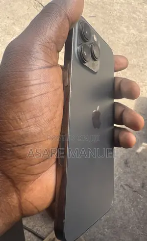 Apple iPhone 13 Pro Max 256 GB Gray