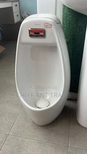 Urinal With Sensor. Automatic