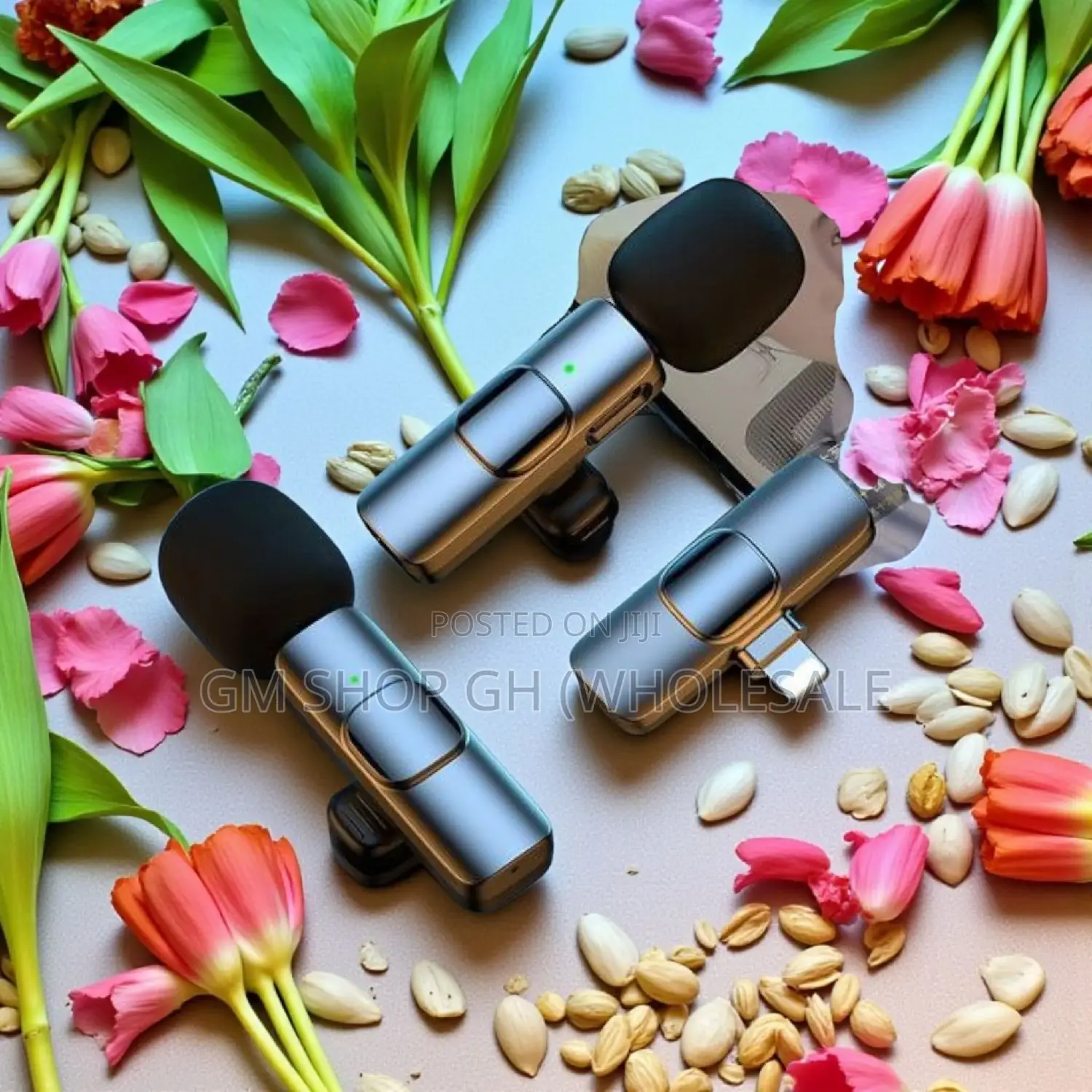 2 in 1 Wireless Microphone (543400)