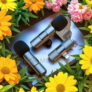 2 in 1 Wireless Microphone (Original)97655