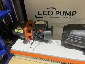 Leo Water Pump 1 Horse Power Cast Iron
