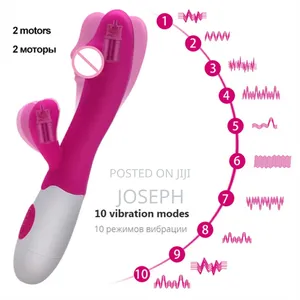 Dolphin Dildo Vibrator