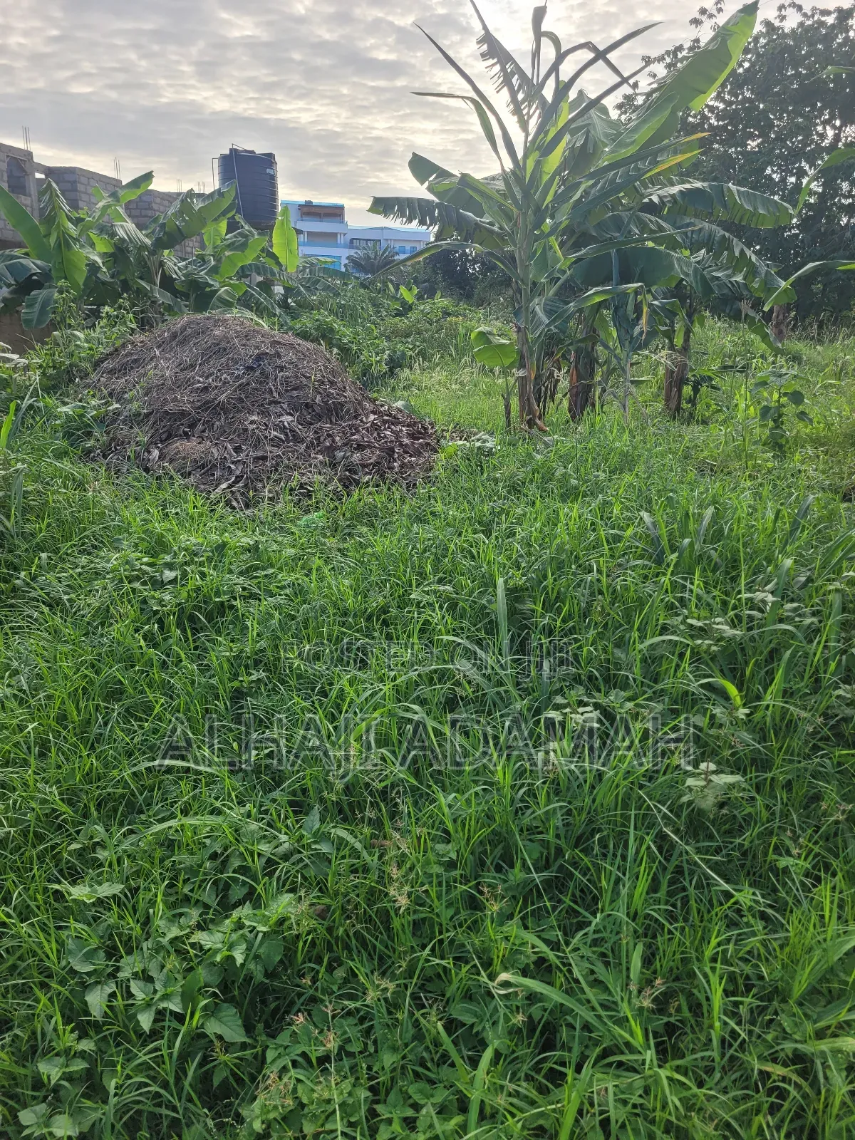 One Acre of Land for Sale Between Santasi and Apire Main Road