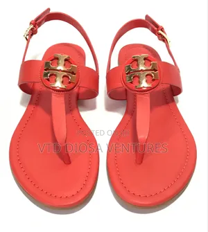 Sleek Ladies Sandals