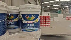 DTM Paints All Colors Are Available