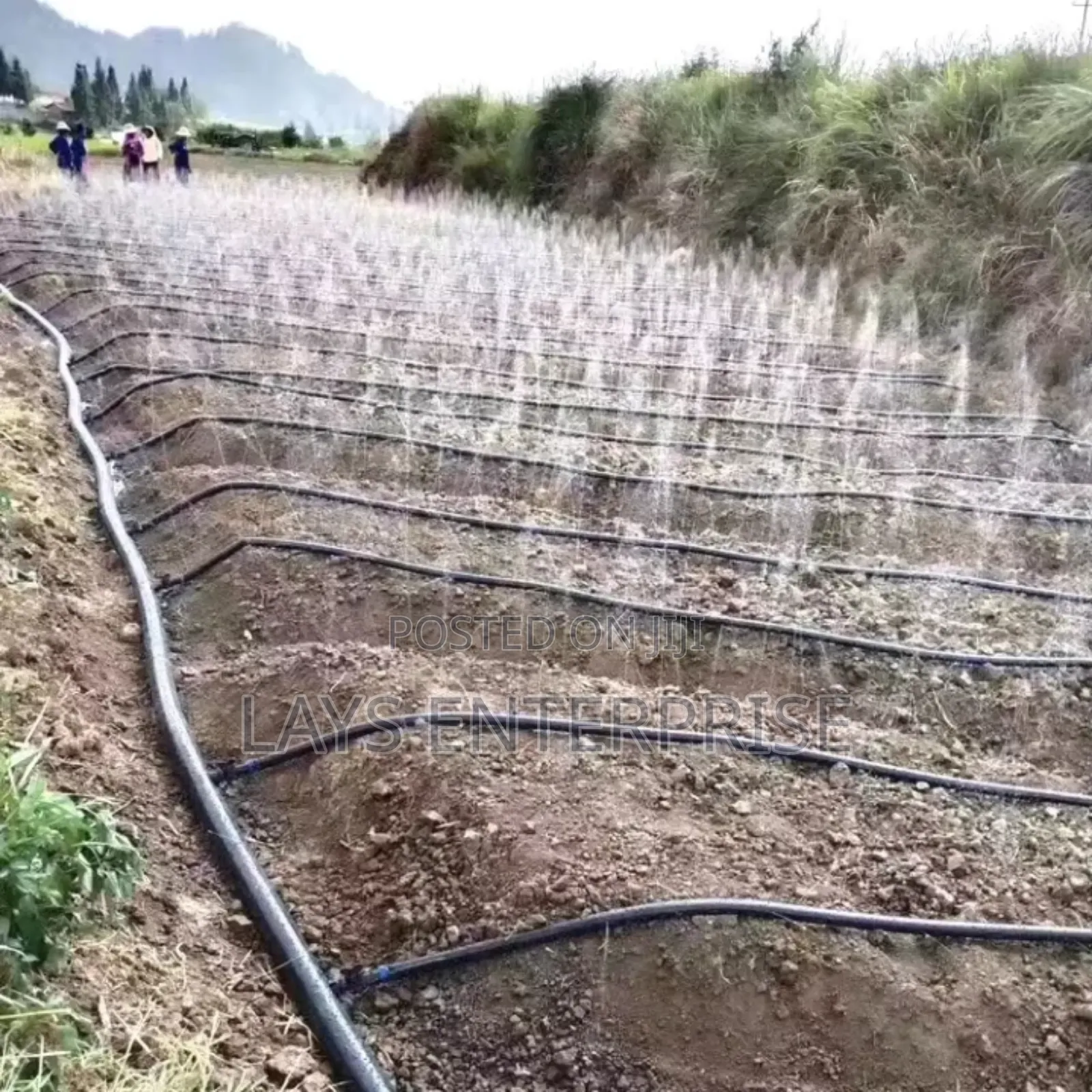 Rain Hose 100 Meters
