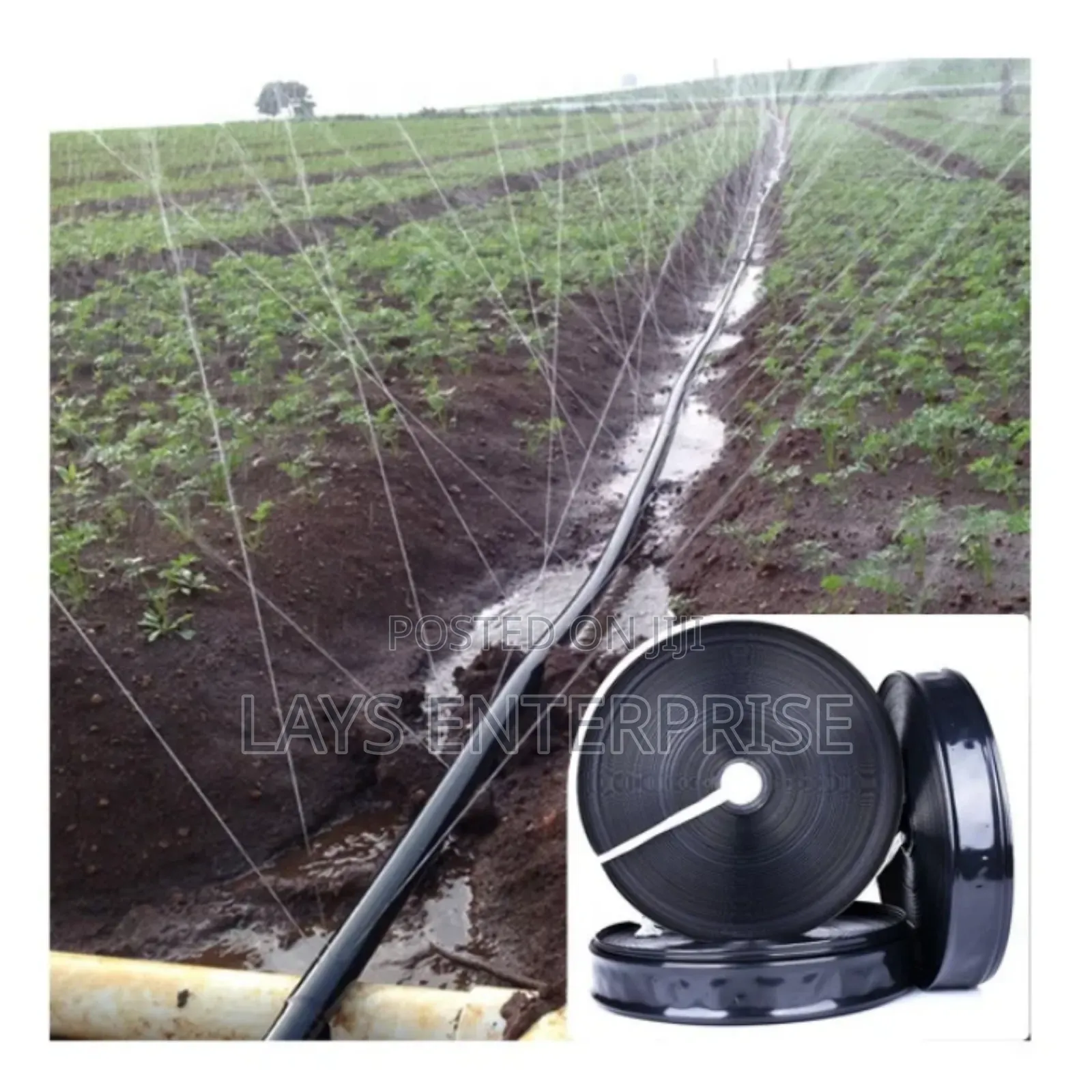 Rain Hose 100 Meters