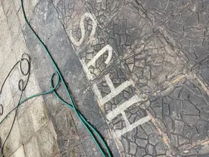 Power & Pressure Washing