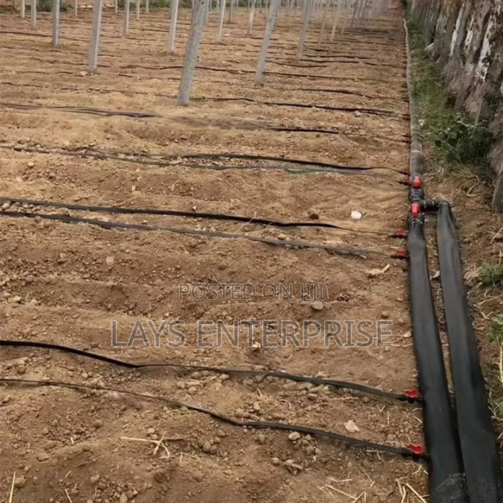 Rain Hose 100 Meters