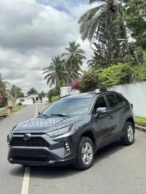Toyota RAV4 XLE 2021 Gray
