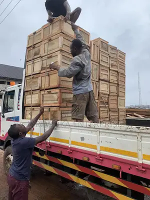 Students Chop Box