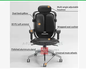 Comfortable Kidney Chair