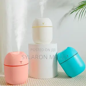 Dual Mist Capsule Air Humidifier