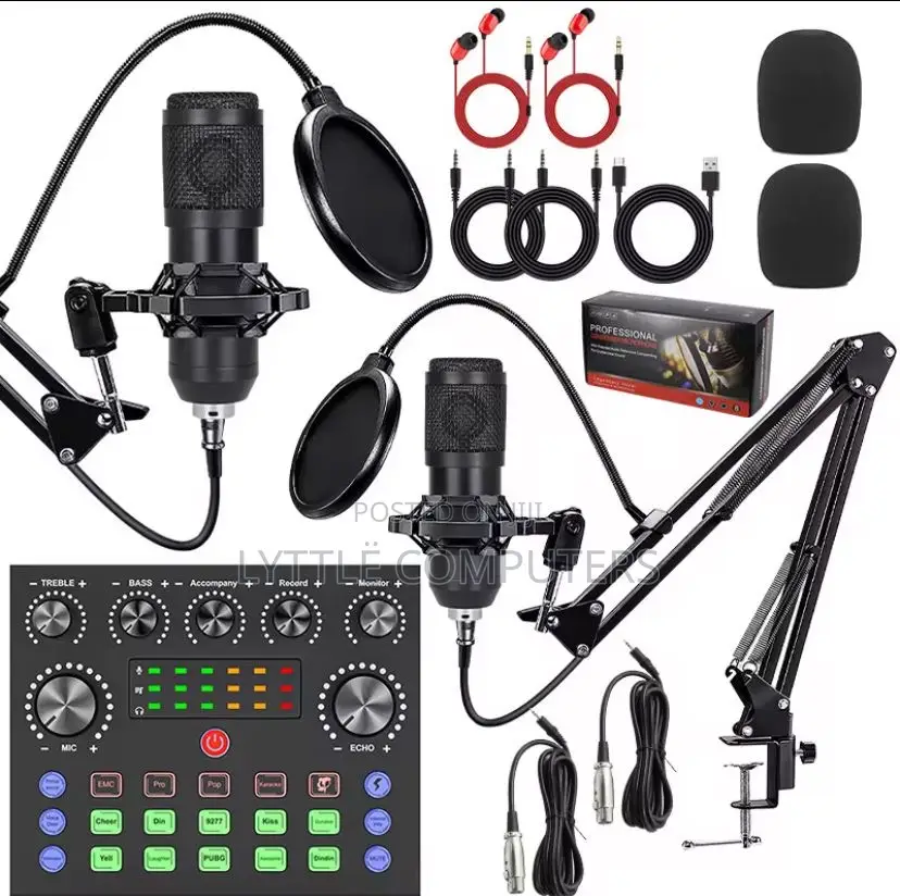 Professional Double Condenser Microphone