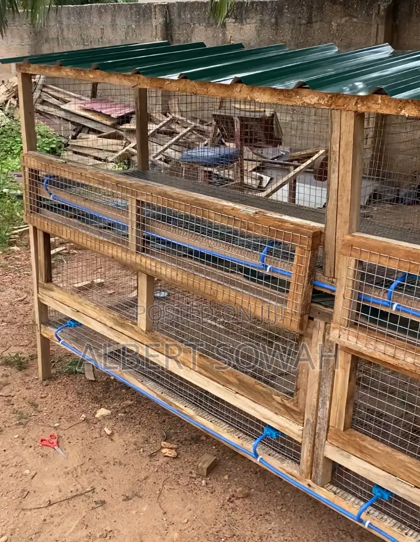 Modern Rabbit Cages