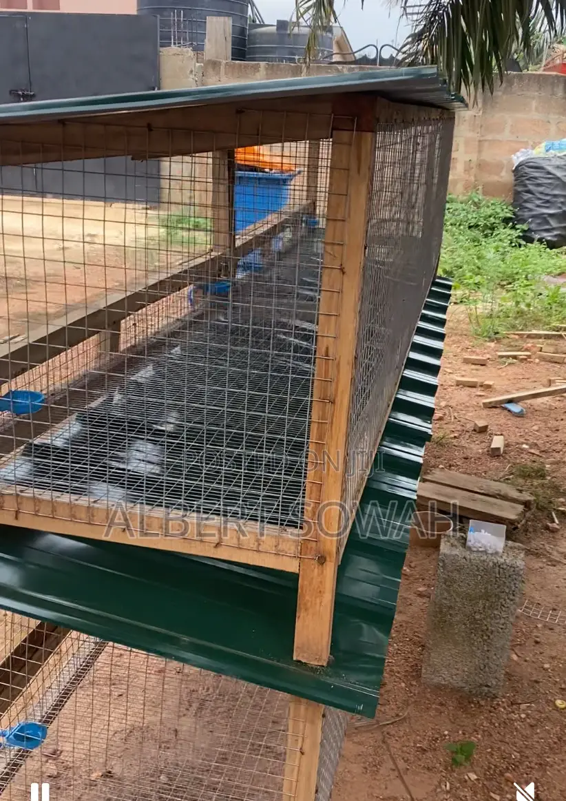 Modern Rabbit Cages