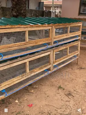 Modern Rabbit Cages