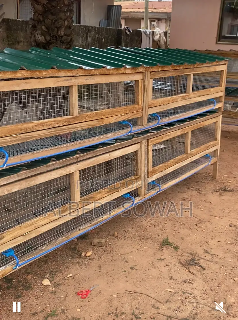 Modern Rabbit Cages in Oyarifa - Farm Animals, Albert Sowah | Jiji.com.gh