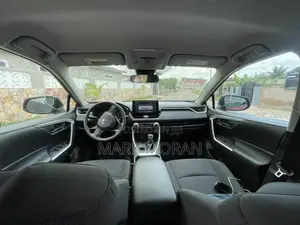 Toyota RAV4 LE AWD 2019 Burgundy