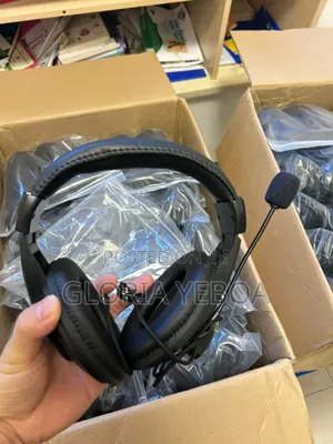Walkie Talkie Headset