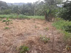 5bdrm House in Private, Ayensuano for sale