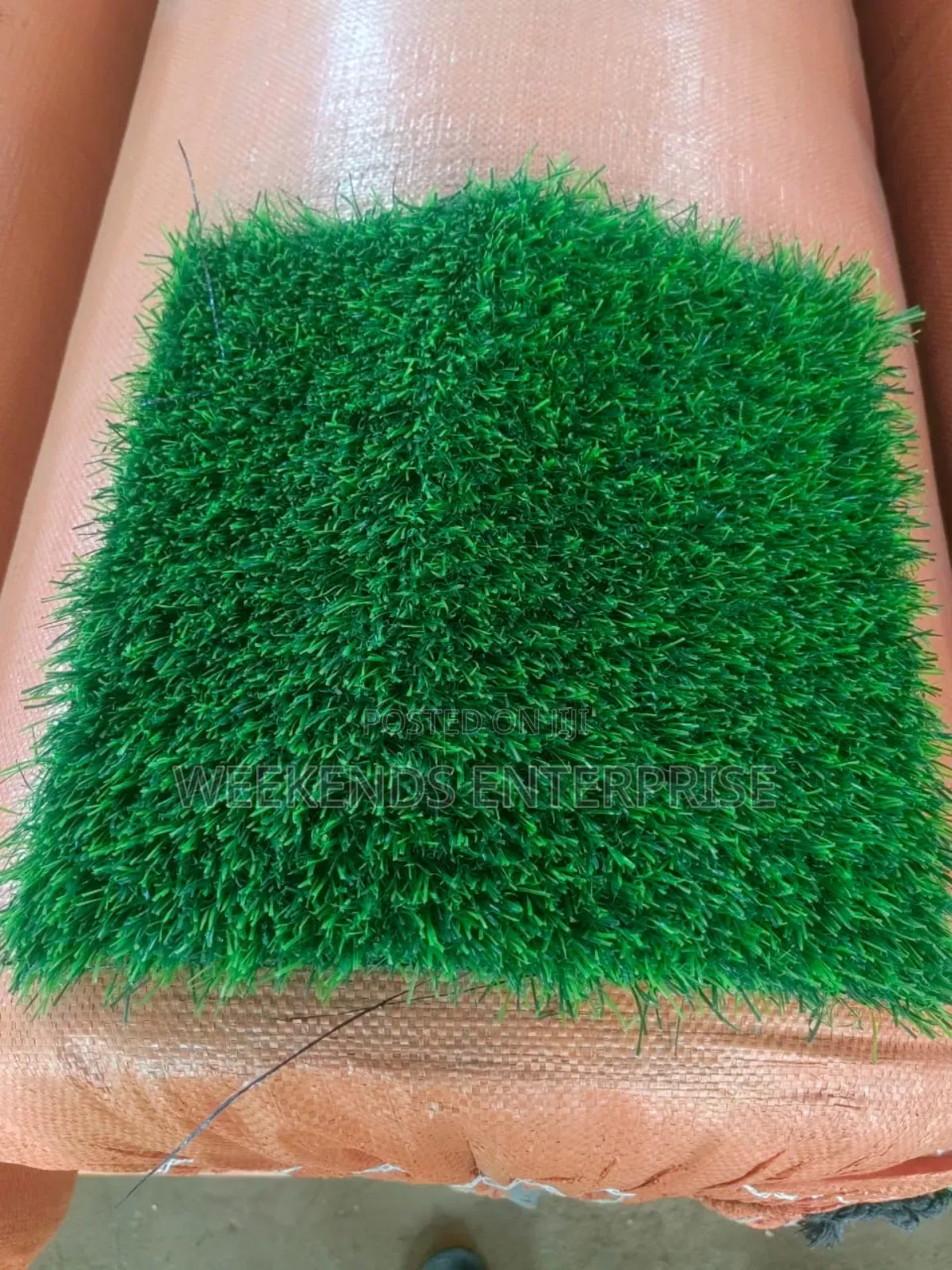 Lawn Grass and Safety Net